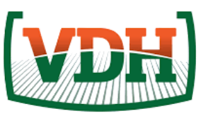 Logo 20