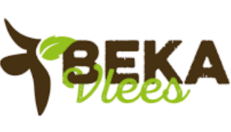 Logo 21