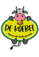 Logo 29