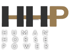 Logo 31