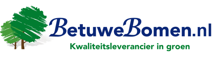 Logo 33