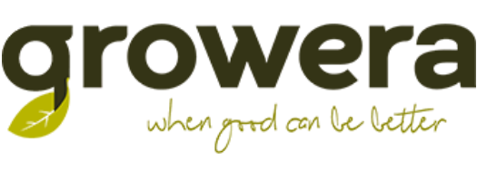 Logo 4